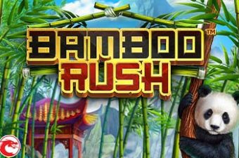 Bamboo Rush