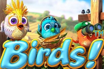 Birds
